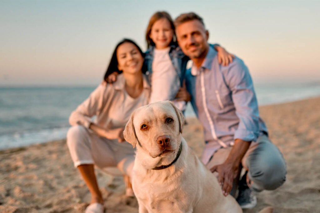 Fotograf Mazelle fotografiert auf lustige Art Familie mit Hund am Strand von der Insel Rügen